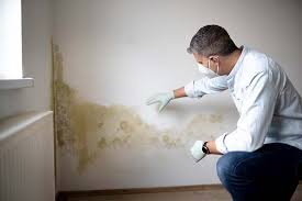 Best Airborne Mold Testing  in San Bruno, CA